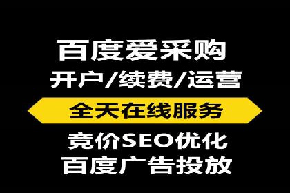 推广竞价策略解析：成功案例分享